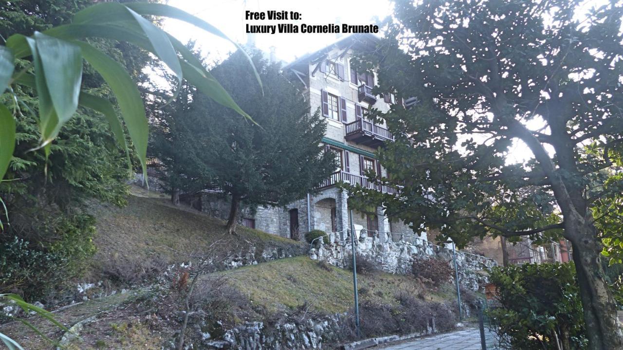 Luxury Villa Olmo Appartamento *